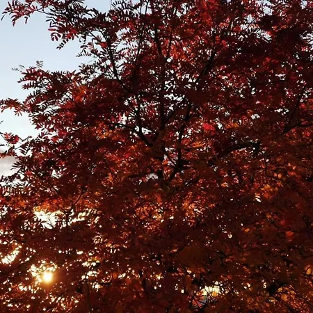 Calme Et Altitude Ambiance Cosy Фон-Ромё